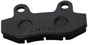 SEPERATED BRAKE SHOES FOR HYDRAULIC FRONT BRAKE, PASSENGER SIDE