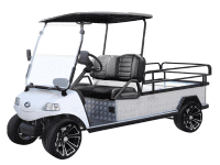 Commercial golf carts for sale in St Charles, MO